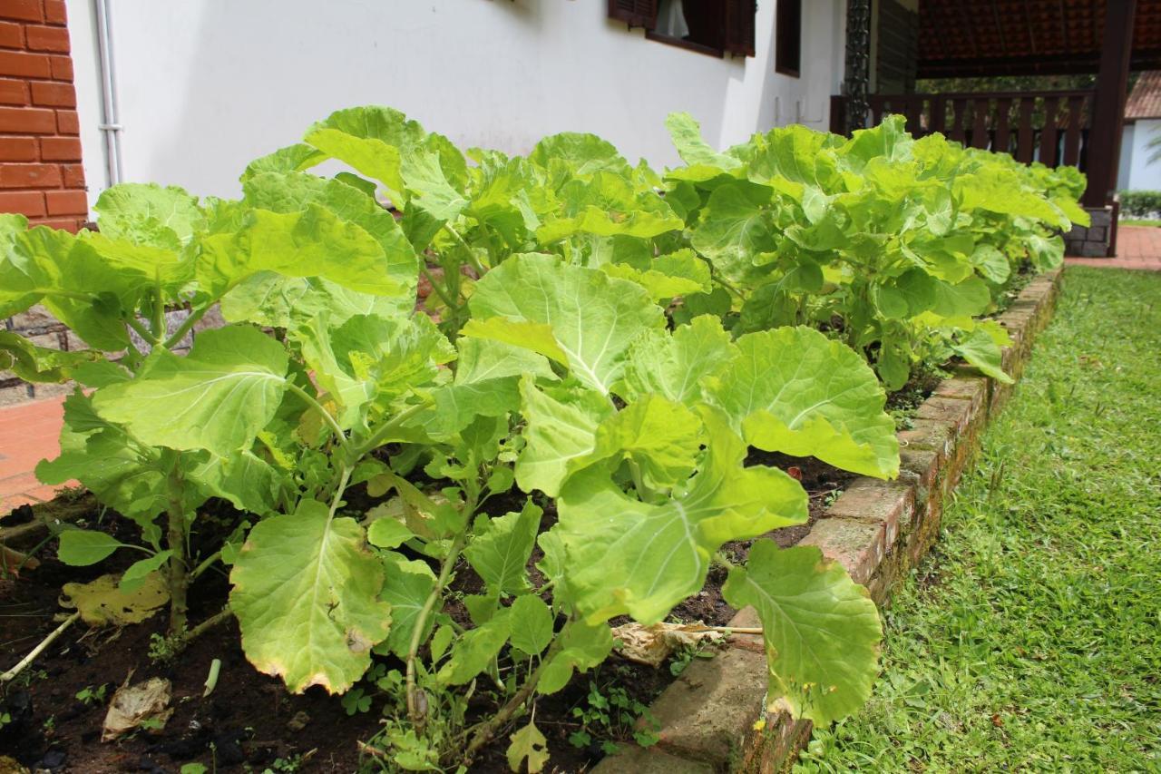 Casa Incrivel Em Nova Friburgo - Espaco Humedica ภายนอก รูปภาพ